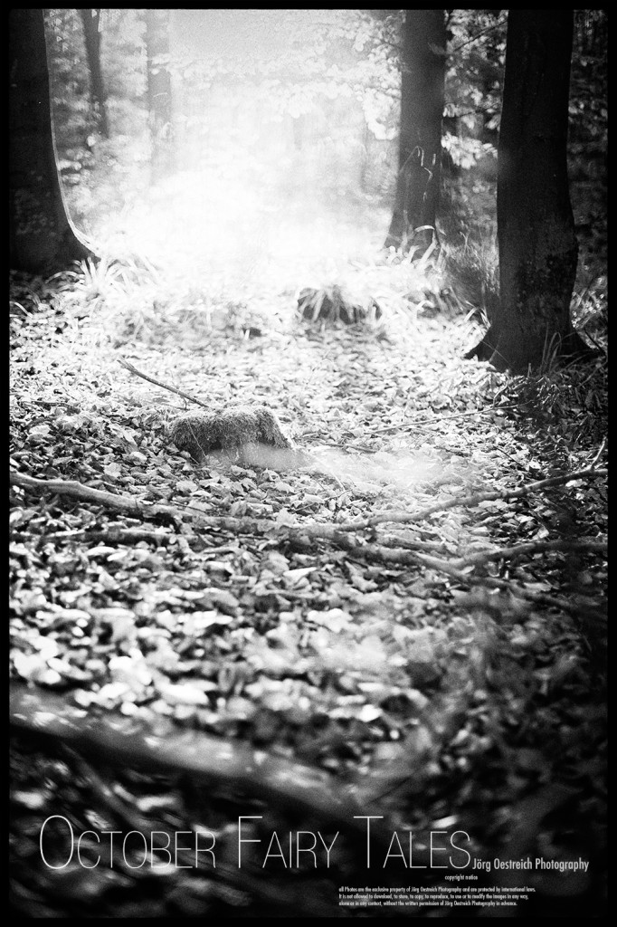 Special Docma Issue Pictorialism